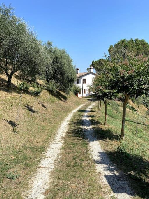 Tenuta Da Mose Con Vista Sui Colli Asolani Monfumo Ngoại thất bức ảnh